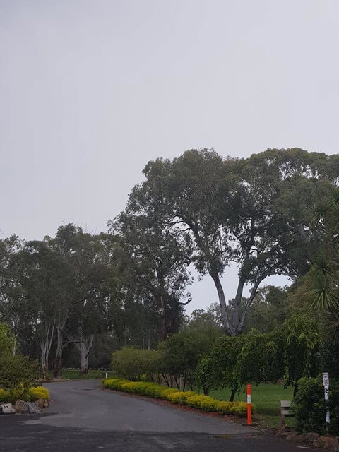 Seymour Motel - Sydney Tourism 3