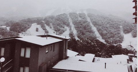 Snowman 1 - Sydney Tourism 1