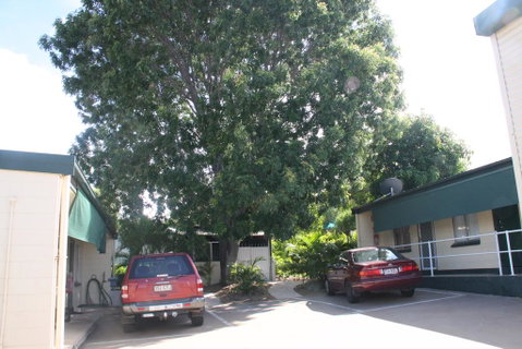 Star Inn Accommodation - Sydney Tourism 3