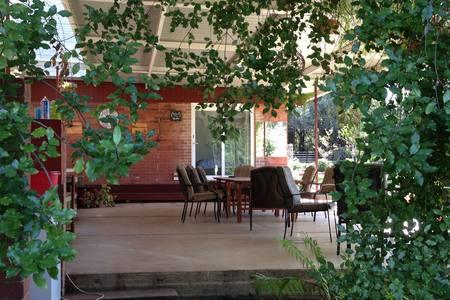 Sue's Sanctuary - Sydney Tourism 1