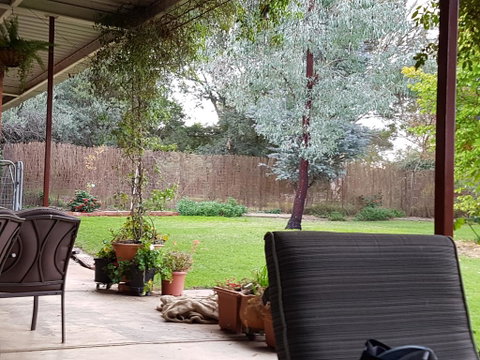Sue's Sanctuary - Sydney Tourism 0