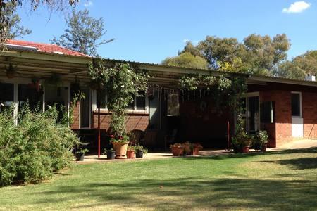 Sue's Sanctuary - Sydney Tourism 3