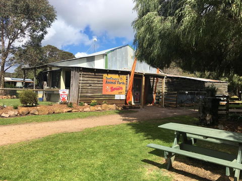 Sunflowers Animal Farm & Farmstay - Sydney Tourism 2