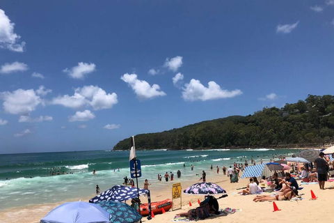 Sunshine Coast Cottage - Sydney Tourism 3