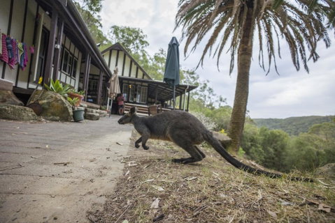 Sydney, Pittwater YHA - Sydney Tourism 2