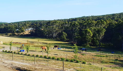 Lockleigh Park - Sydney Tourism 19