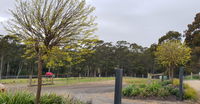 Book Lebrina Accommodation Vacations Sydney Tourism Sydney Tourism
