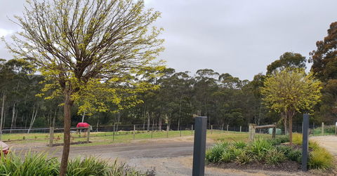 Lockleigh Park - Sydney Tourism 0