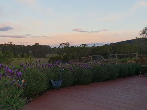 Lockleigh Park - Sydney Tourism 23
