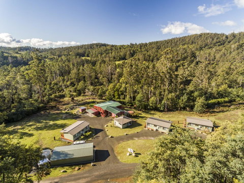 Derby Forest Cabins - Sydney Tourism 19