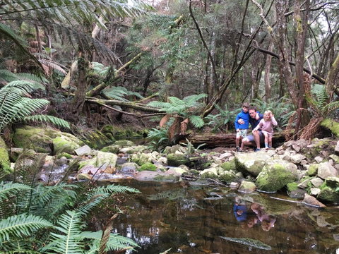 Derby Forest Cabins - Sydney Tourism 17