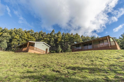 Derby Forest Cabins - Sydney Tourism 22