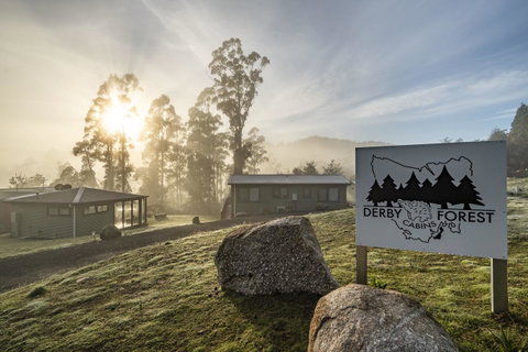 Derby Forest Cabins - Sydney Tourism 0