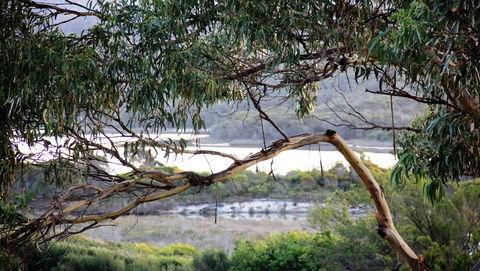 KINGFISHER COTTAGE Beachfront At The Binalong Bay - Sydney Tourism 17