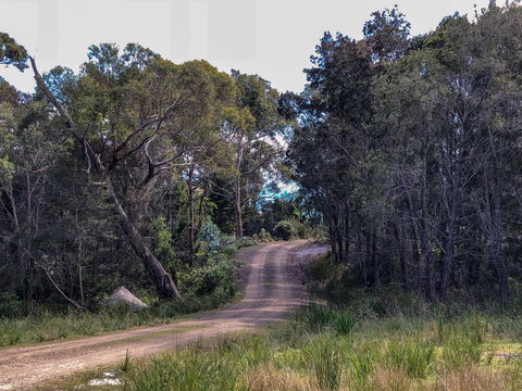 BAY OF FIRES ECO HUT Off Grid Experience At Binalong Bay - Sydney Tourism 12