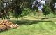 Nextdoor@portarthur - thumb 13