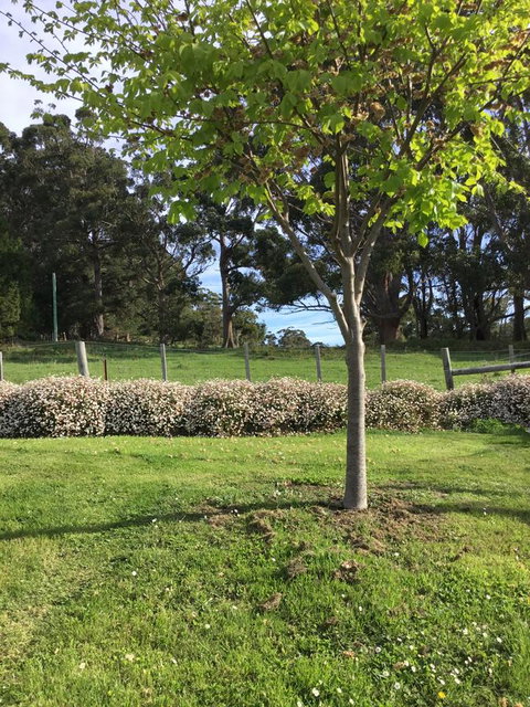 Nextdoor@portarthur - Sydney Tourism 17