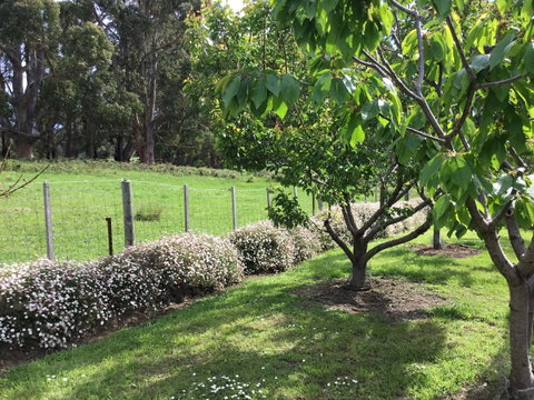 Nextdoor@portarthur - Sydney Tourism 18