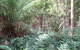 St. Pauls Bed & Breakfast - thumb 15