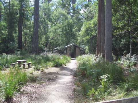 St. Pauls Bed & Breakfast - Sydney Tourism 5