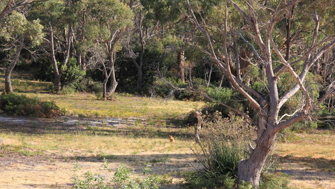 BAY OF FIRES SEACHANGE Ocean Frontage - Sydney Tourism 12