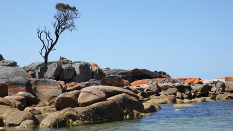 BAY OF FIRES SEACHANGE Ocean Frontage - Sydney Tourism 21