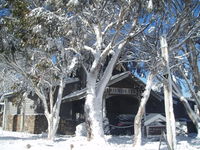 Book Dinner Plain Accommodation Vacations Sydney Tourism Sydney Tourism