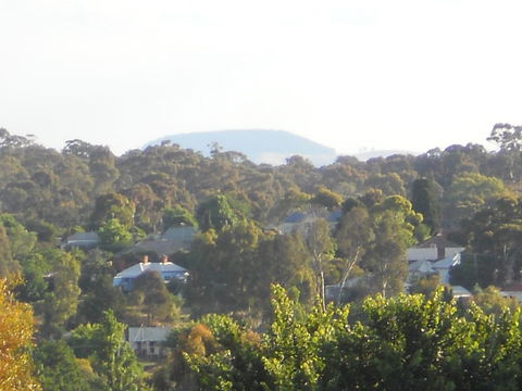 Campbell St Lodge - Sydney Tourism 27