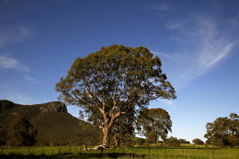 Dunkeld Studio Accommodation - Sydney Tourism 23