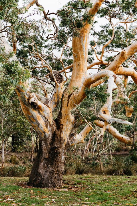 Dunkeld Studio Accommodation - Sydney Tourism 22