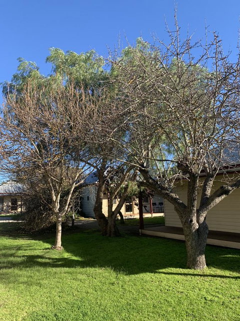 Dunkeld Studio Accommodation - Sydney Tourism 4