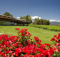 Balgownie Estate Vineyard Resort  Spa - Sydney Tourism