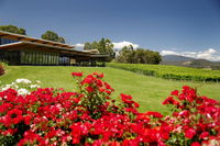 Book Yarra Glen Accommodation Vacations Sydney Tourism Sydney Tourism