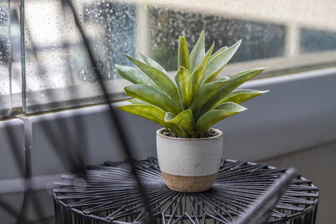 Signature Waterfront Apartments - Sydney Tourism 20