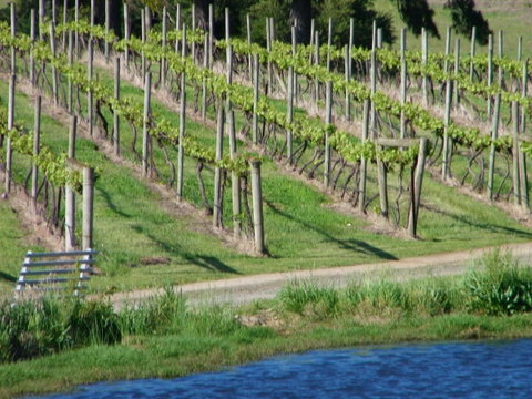 De\'Vine Escape - Sydney Tourism 13
