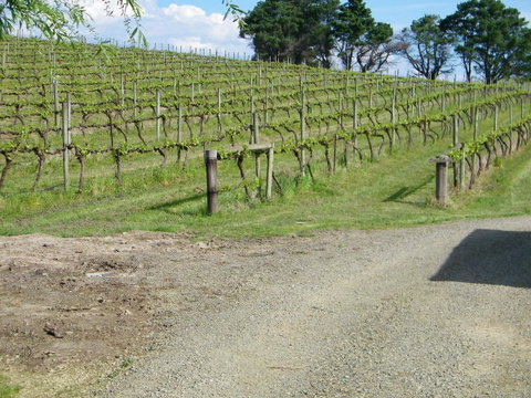 De\'Vine Escape - Sydney Tourism 23