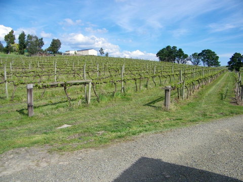 De\'Vine Escape - Sydney Tourism 30
