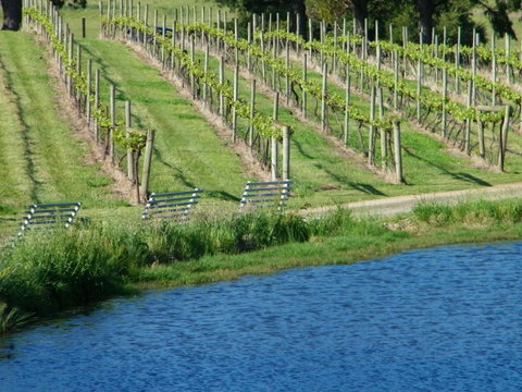 De\'Vine Escape - Sydney Tourism 29