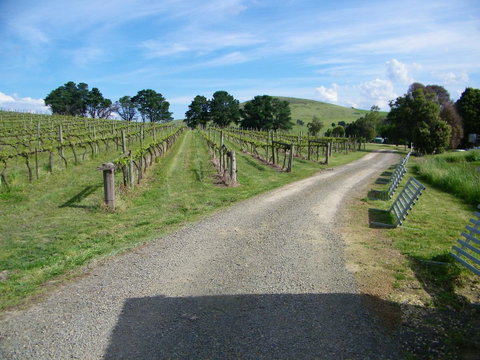 De\'Vine Escape - Sydney Tourism 24