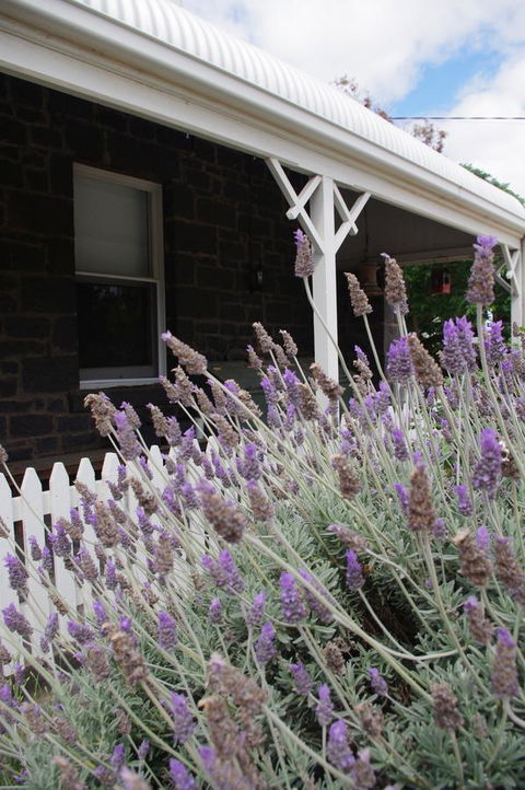 Little River Bed And Breakfast - Sydney Tourism 30