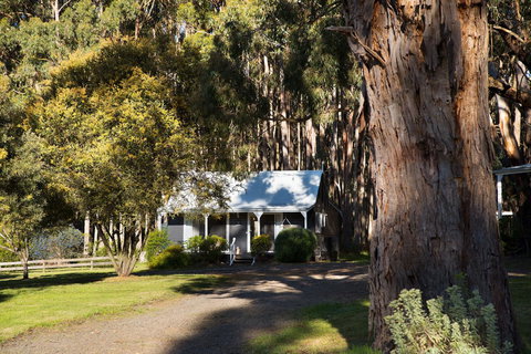 Bodhi Daylesford - Sydney Tourism 8