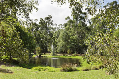 Nightcap At York On Lilydale - Sydney Tourism 34