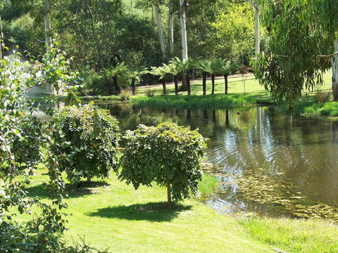 Nightcap At York On Lilydale - Sydney Tourism 36