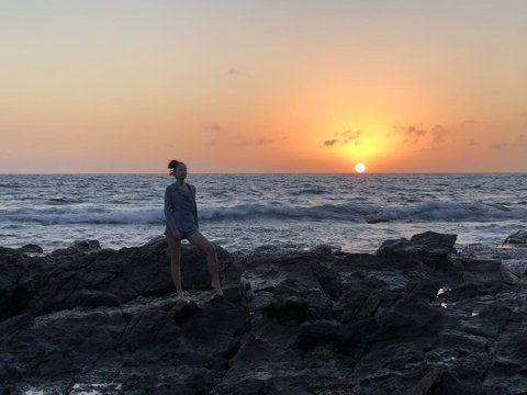 Beautiful, Cosy And Quiet - Sydney Tourism 26