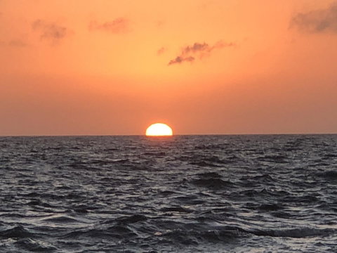 Beautiful, Cosy And Quiet - Sydney Tourism 27