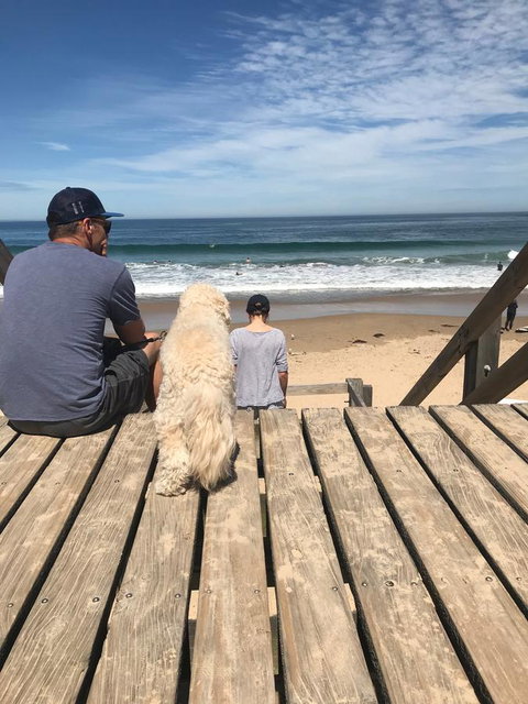 Beautiful, Cosy And Quiet - Sydney Tourism 37