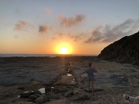 Beautiful, Cosy And Quiet - Sydney Tourism 25