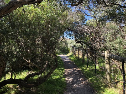 Beautiful, Cosy And Quiet - Sydney Tourism 20