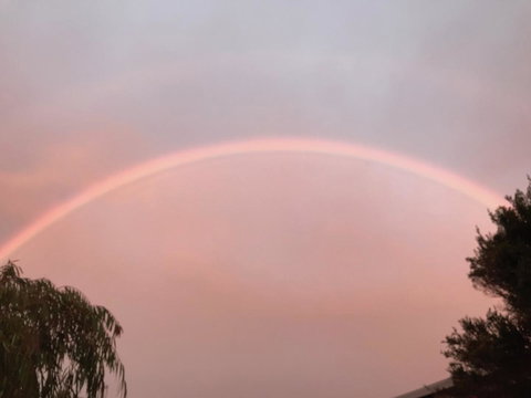 Beautiful, Cosy And Quiet - Sydney Tourism 35