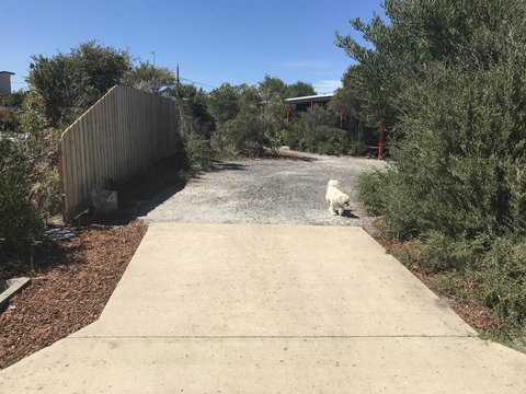 Beautiful, Cosy And Quiet - Sydney Tourism 38